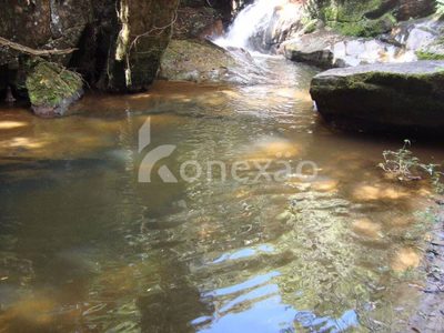 Fazenda, 600 m² - Foto 4