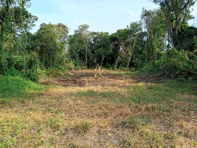 Terreno, 480 m² - Foto 2