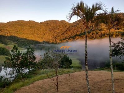 Fazenda, 390 hectares - Foto 4