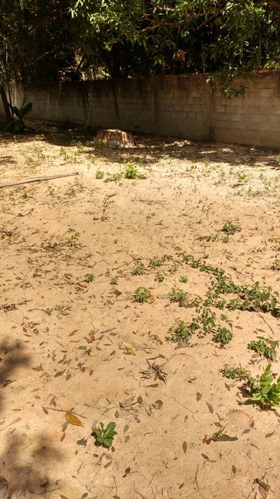 Terreno, 4000 m² - Foto 4