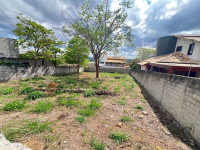 Terreno, 553 m² - Foto 5