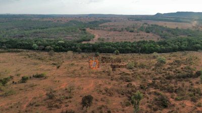 Fazenda, 3125 hectares - Foto 3