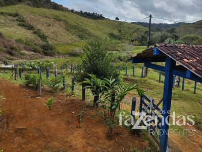 Fazenda, 10 quartos - Foto 5