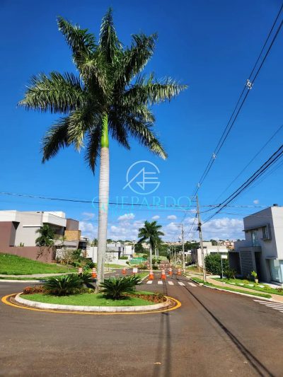 Terreno, 300 m² - Foto 1