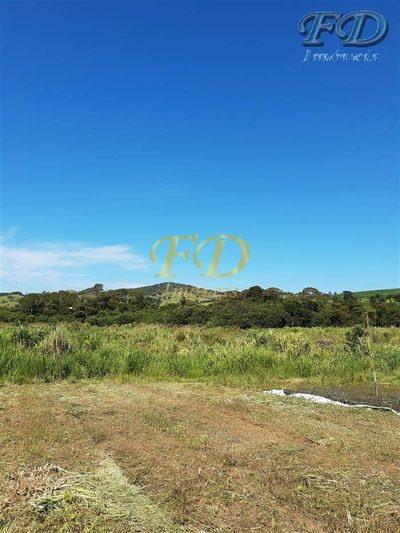 Terreno, 8 hectares - Foto 4