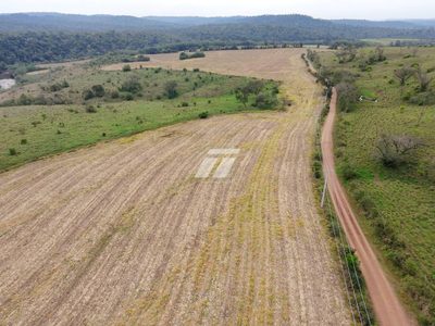 Sítio, 157 hectares - Foto 3