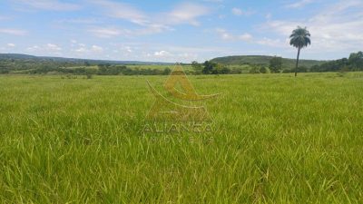 Fazenda, 367 hectares - Foto 1