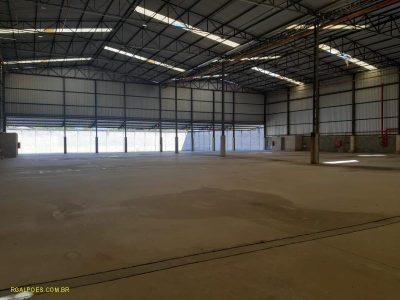Depósito-Galpão, 4000 m² - Foto 3