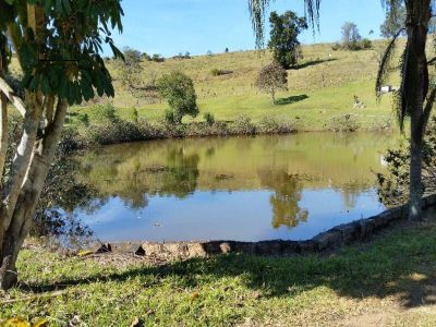 Fazenda, 94 hectares - Foto 4