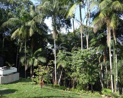 Casa, 4 quartos, 500 m² - Foto 4