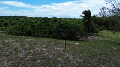 Terreno, 2 hectares - Foto 4