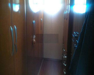 Casa, 4 quartos, 318 m² - Foto 4