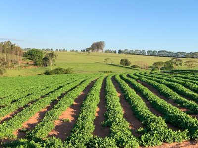 Fazenda, 300 m² - Foto 5