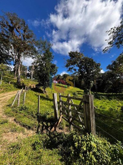Fazenda - Foto 4
