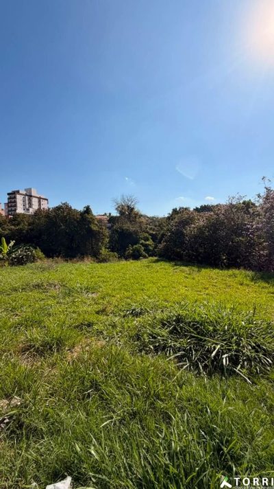 Terreno, 1350 m² - Foto 3