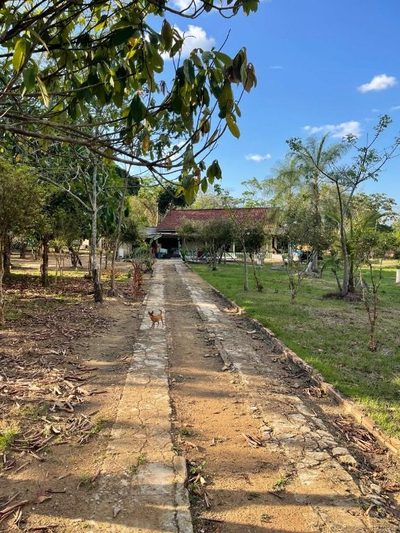 Chácara, 1000 m² - Foto 2
