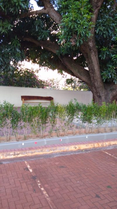 Apartamento, 3 quartos, 58 m² - Foto 3