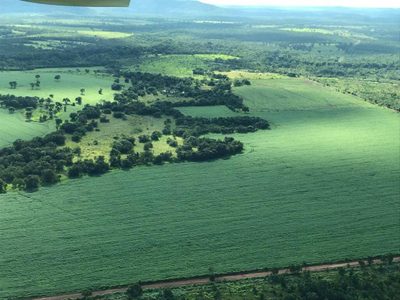 Fazenda, 370 m² - Foto 3