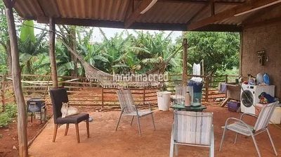 Sítio, 1 quarto, 2 hectares - Foto 4