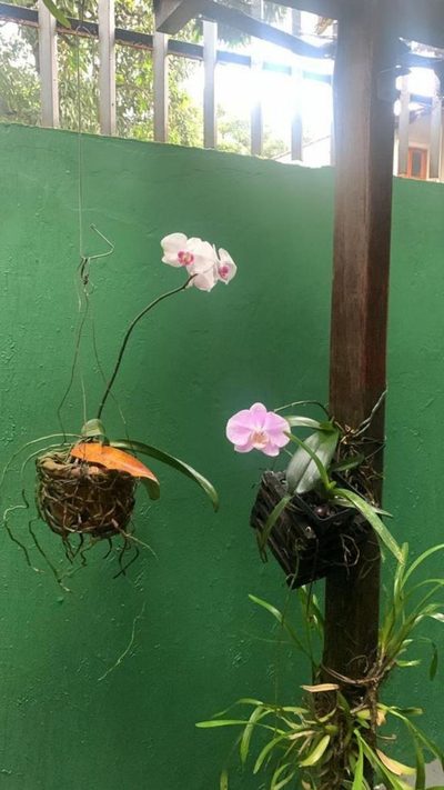 Apartamento, 4 quartos, 430 m² - Foto 4