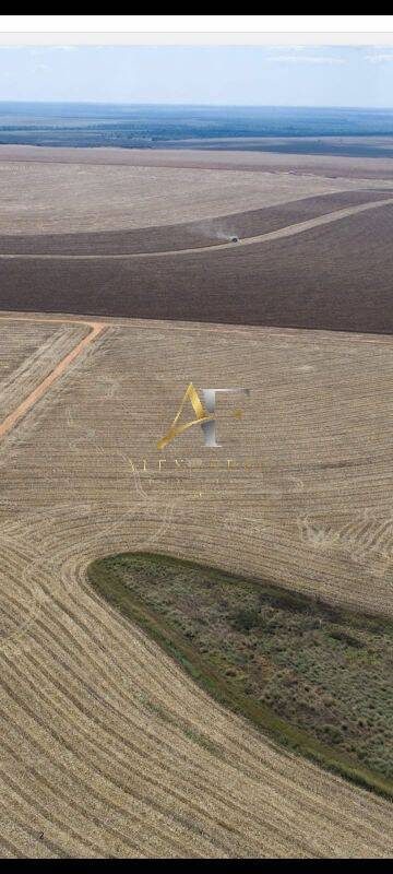 Terreno, 5000 m² - Foto 4