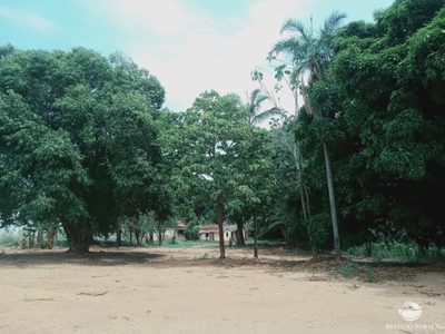 Fazenda, 97 hectares - Foto 1