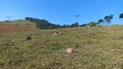 Terreno, 20 m² - Foto 3