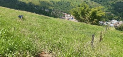 Terreno, 250 m² - Foto 1