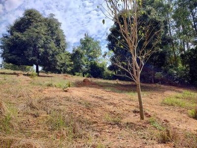 Terreno - Foto 4