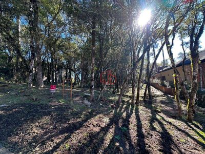 Loteamento e Condomínio, 735 m² - Foto 4