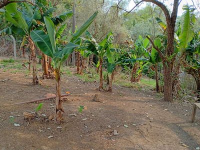Terreno, 1000 m² - Foto 4