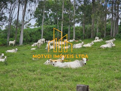 Fazenda, 89 m² - Foto 4