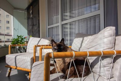Apartamento, 3 quartos, 154 m² - Foto 3