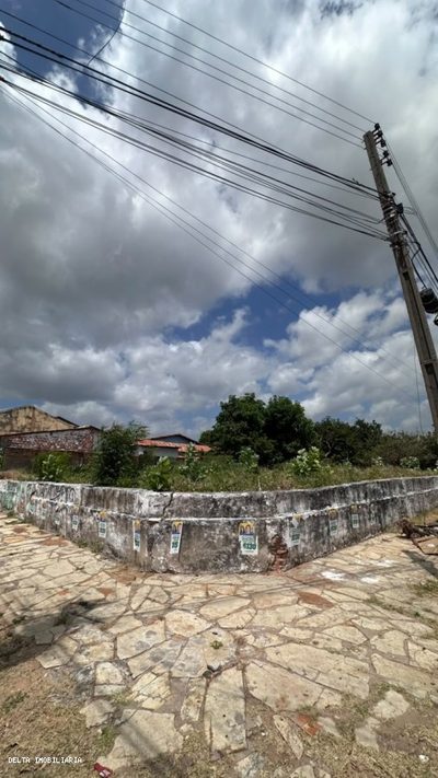 Terreno - Foto 3
