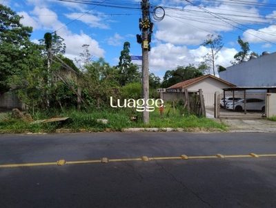 Terreno, 960 m² - Foto 3
