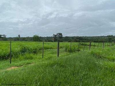 Chácara, 722 hectares - Foto 4