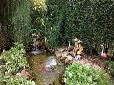 Sítio, 8 quartos, 4100 m² - Foto 5