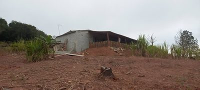 Chácara, 3 quartos, 5000 m² - Foto 1