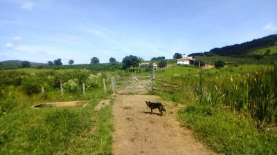 Chácara, 1 quarto, 2 hectares - Foto 3