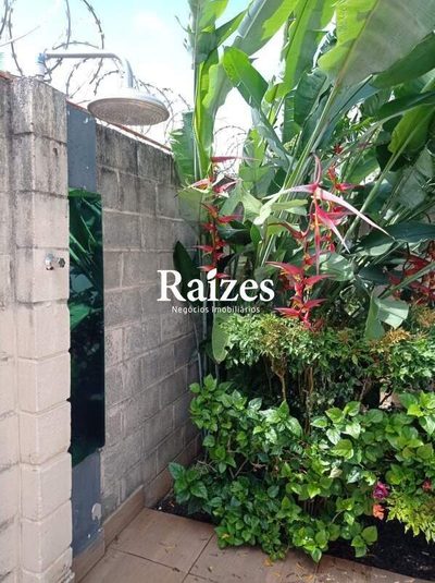 Chácara, 3 quartos, 1000 m² - Foto 2