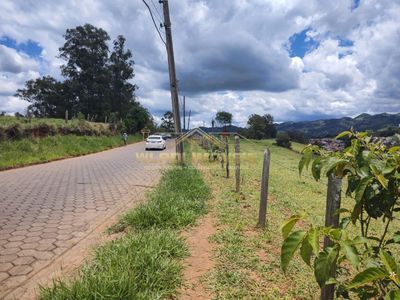 Terreno, 4 hectares - Foto 5