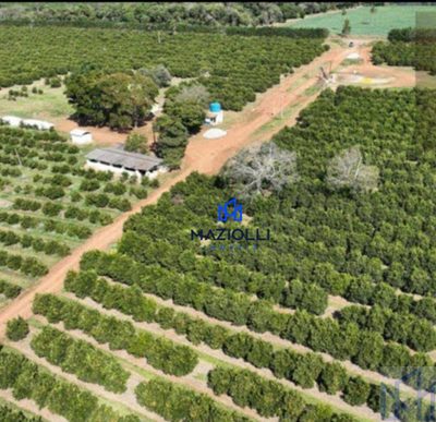 Fazenda, 170 m² - Foto 5