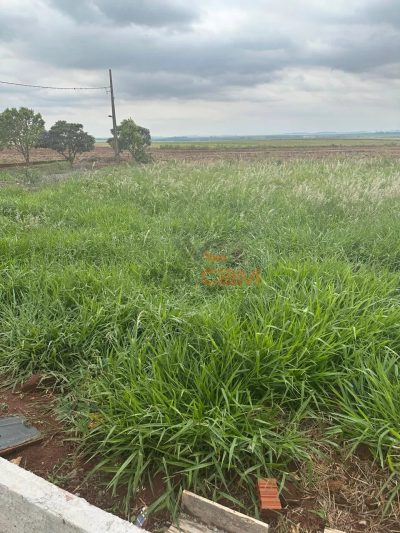 Terreno, 250 m² - Foto 3