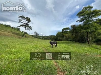 Casa, 43 m² - Foto 3