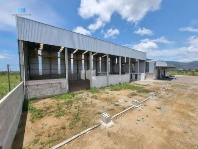 Depósito-Galpão, 2000 m² - Foto 4