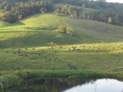 Terreno, 19 hectares - Foto 3