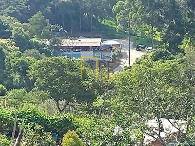 Sítio, 3 quartos, 6000 m² - Foto 5