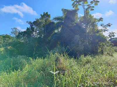 Terreno, 650 m² - Foto 3
