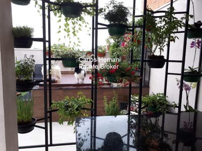 Casa, 5 quartos - Foto 3