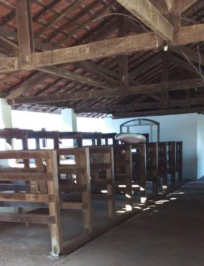 Fazenda, 30 hectares - Foto 5